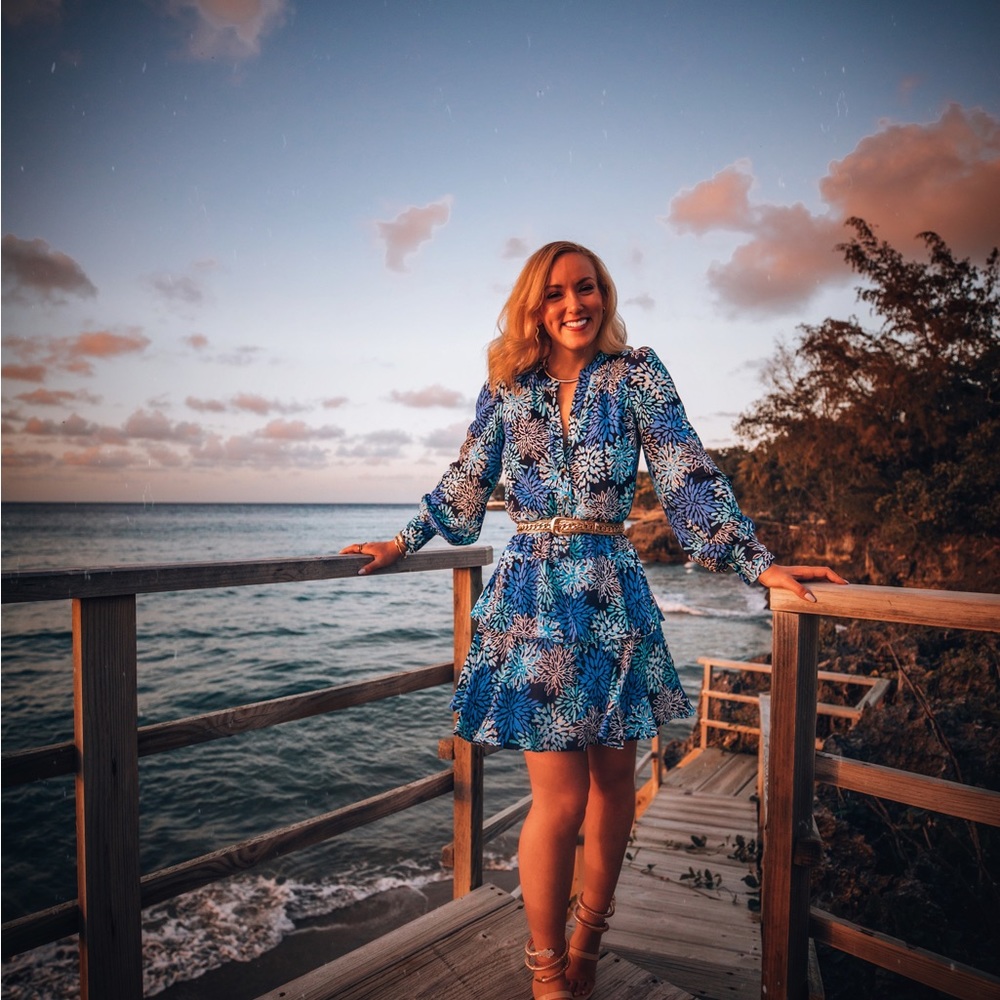 Sail to sable dress XXS. Worn once for photos.